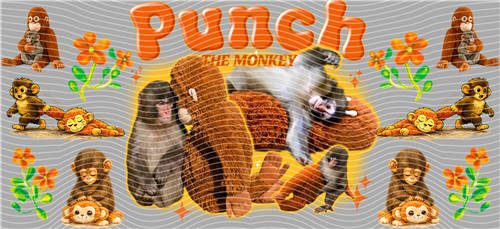 16oz Latest Bestseller-C 8272